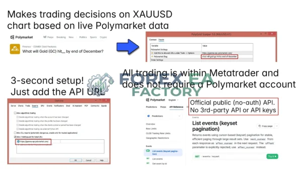 PolyGold Scalper MT5 MQL5 results 2